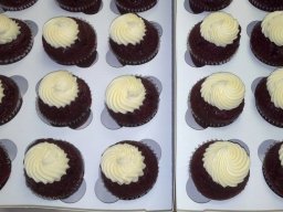 chocolate cupcakes with vanilla swirl